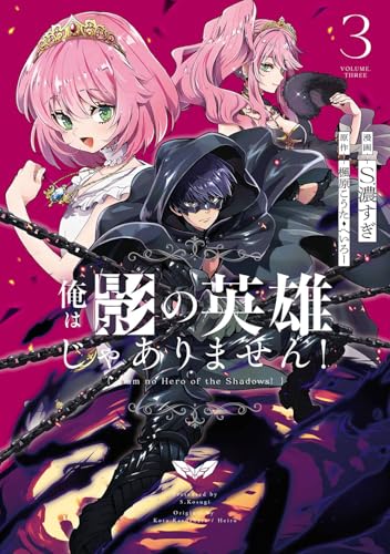 俺は影の英雄じゃありません!(コミック) (3)