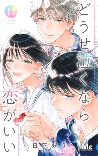 どうせ泣くなら恋がいい (11)