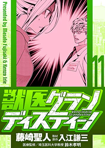 獣医グランディスティーノ (11)