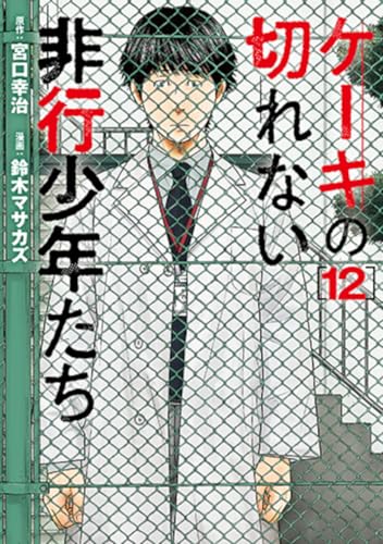 ケーキの切れない非行少年たち (12)