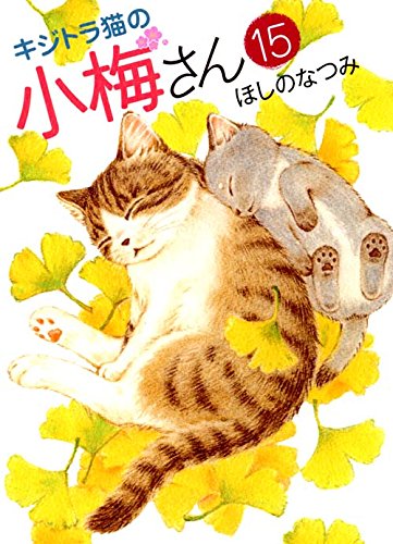 キジトラ猫の小梅さん (15)