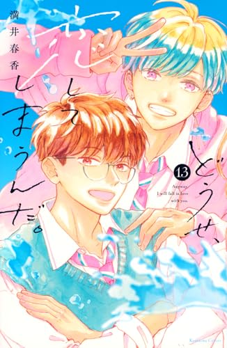 どうせ、恋してしまうんだ。 (13)