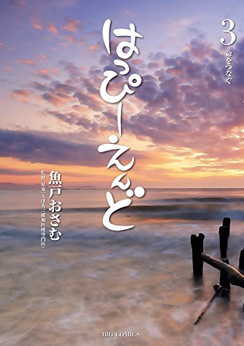 はっぴーえんど (3)