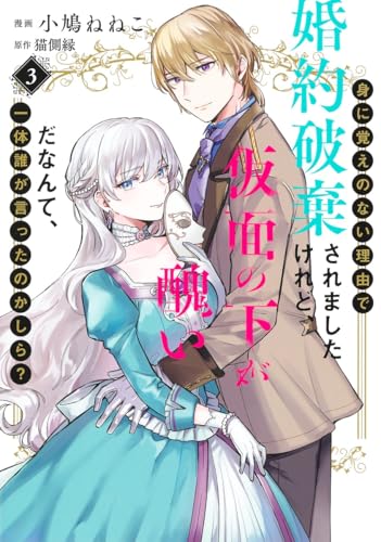 身に覚えのない理由で婚約破棄されましたけれど、仮面の下が醜いだなんて、一体誰が言ったのかしら? (3)