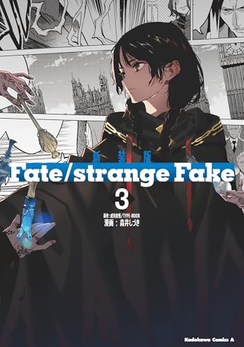 新装版 Fate/strange Fake (3)