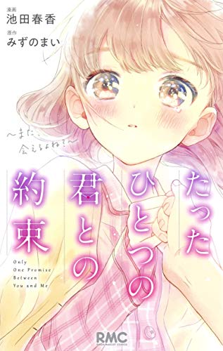 たったひとつの君との約束 ~また、会えるよね?~