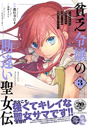 貧乏令嬢の勘違い聖女伝 ～お金のために努力してたら、王族ハーレムが出来ていました!?～ (3)