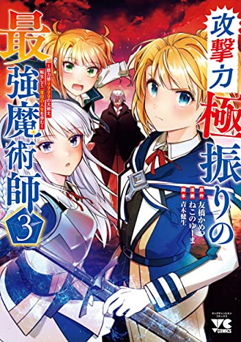 攻撃力極振りの最強魔術師 ~筋力値9999の大剣士、転生して二度目の人生を歩む~ 3 (3)