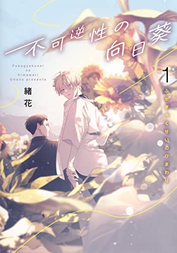 不可逆性の向日葵 (1)