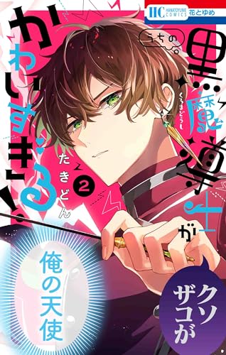 うちの黒魔導士がかわいすぎる! (2)