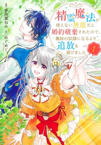 精霊魔法が使えない無能だと婚約破棄されたので、義妹の奴隷になるより追放を選びました (1)