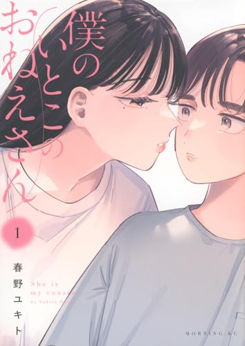 僕のいとこのおねえさん (1)