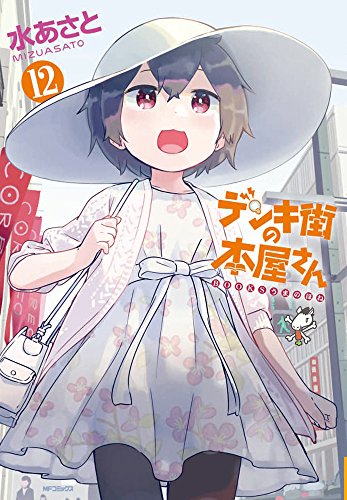 デンキ街の本屋さん (12)