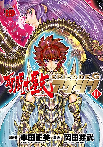 聖闘士星矢EPISODE.G アサシン (11)