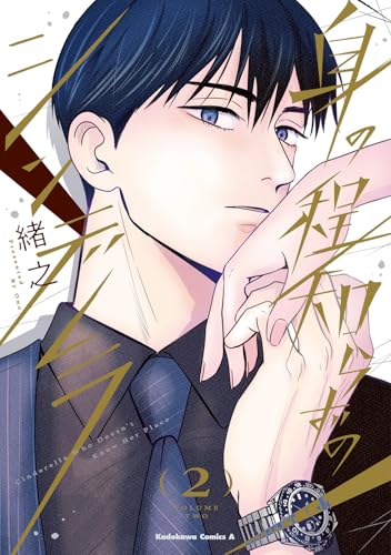 身の程知らずのシンデレラ (2)
