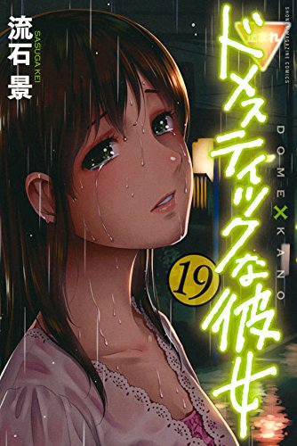 ドメスティックな彼女 (19)