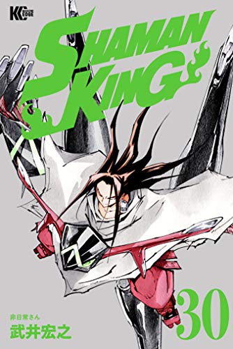 ＳＨＡＭＡＮ ＫＩＮＧ ～シャーマンキング～ ＫＣ完結版 (30)