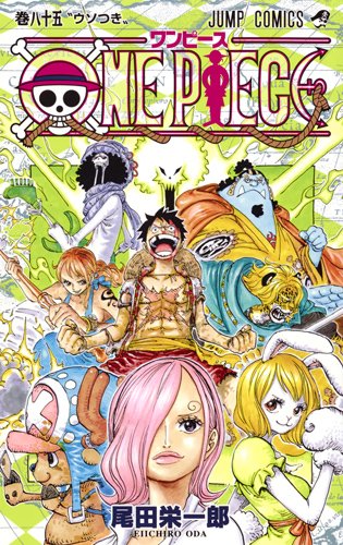 ONE PIECE (85)