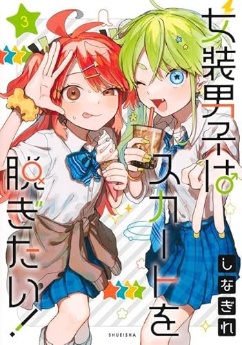 女装男子はスカートを脱ぎたい! (3)