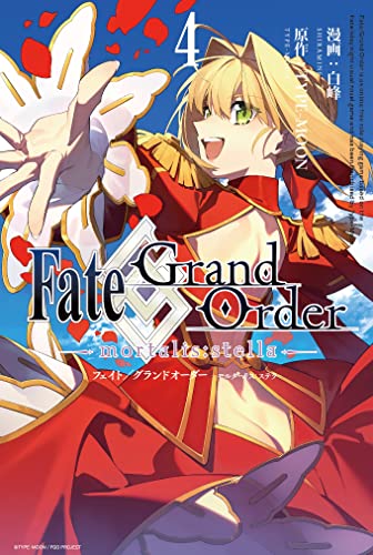 Fate/Grand Order -mortalis:stella- (4)