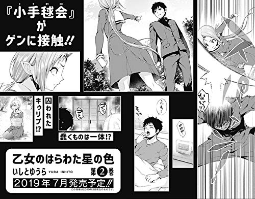 乙女のはらわた星の色 (2)