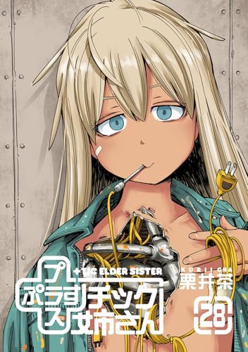 +チック姉さん (28)