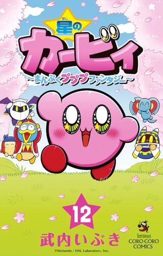 星のカービィ まんぷくプププ ファンタジー (12)