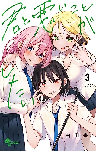 君と悪いことがしたい (3)