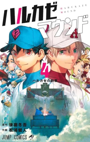 ハルカゼマウンド (4)