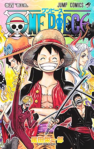 ONE PIECE (100)